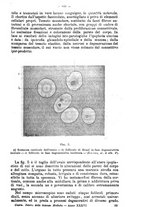 giornale/NAP0021576/1914/unico/00000931