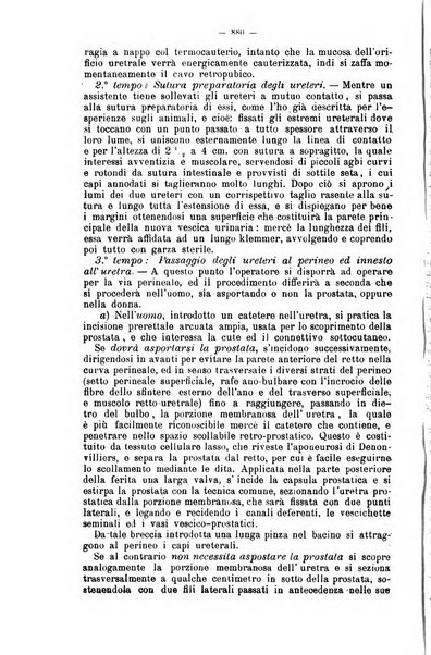 Giornale internazionale delle scienze mediche