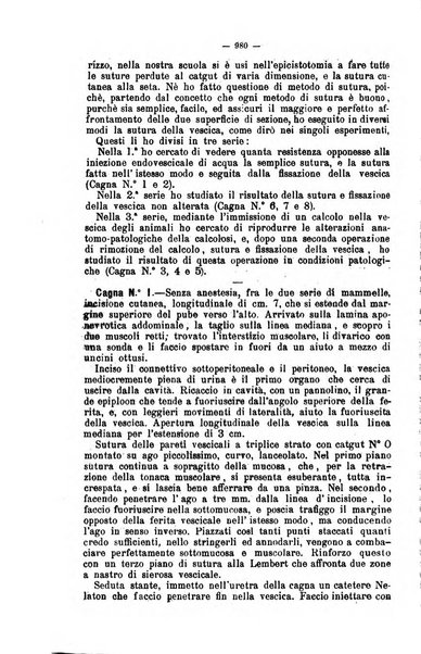 Giornale internazionale delle scienze mediche