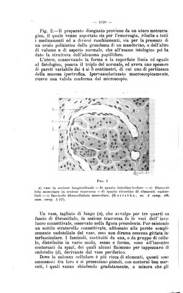 Giornale internazionale delle scienze mediche