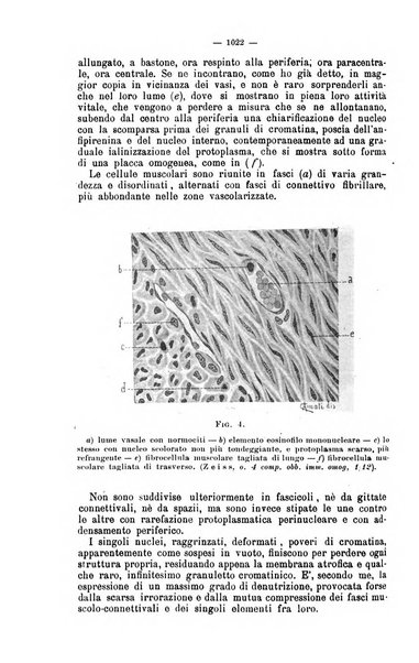 Giornale internazionale delle scienze mediche