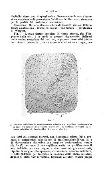 Giornale internazionale delle scienze mediche