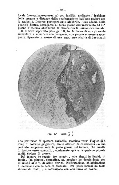 Giornale internazionale delle scienze mediche