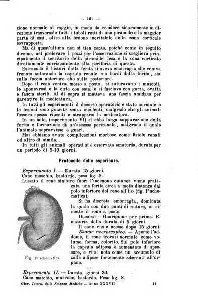 Giornale internazionale delle scienze mediche