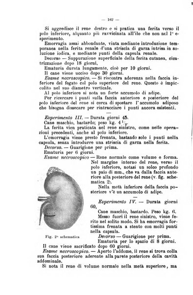 Giornale internazionale delle scienze mediche