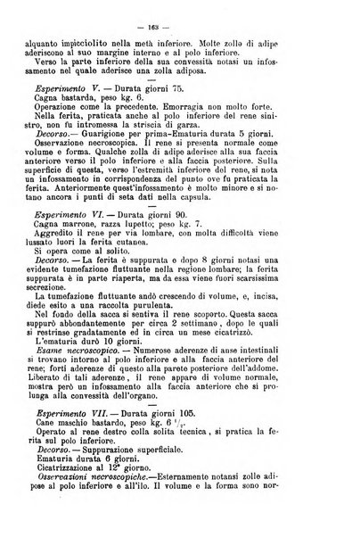 Giornale internazionale delle scienze mediche