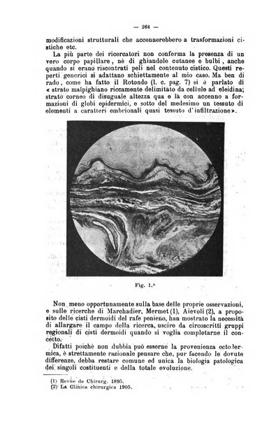 Giornale internazionale delle scienze mediche