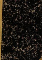 giornale/NAP0022418/1873/unico