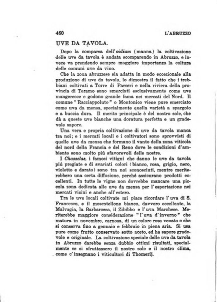 L'Abruzzo rassegna di vita regionale