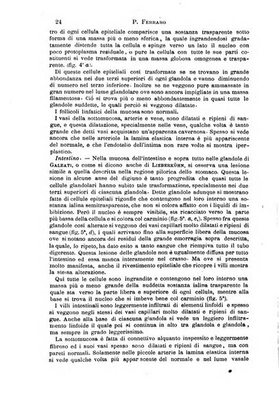 Il morgagni giornale indirizzato al progresso della medicina. Parte 1., Archivio o Memorie originali