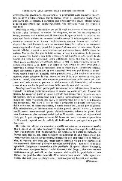 Il morgagni giornale indirizzato al progresso della medicina. Parte 1., Archivio o Memorie originali