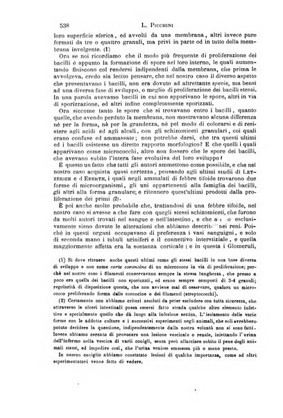 Il morgagni giornale indirizzato al progresso della medicina. Parte 1., Archivio o Memorie originali