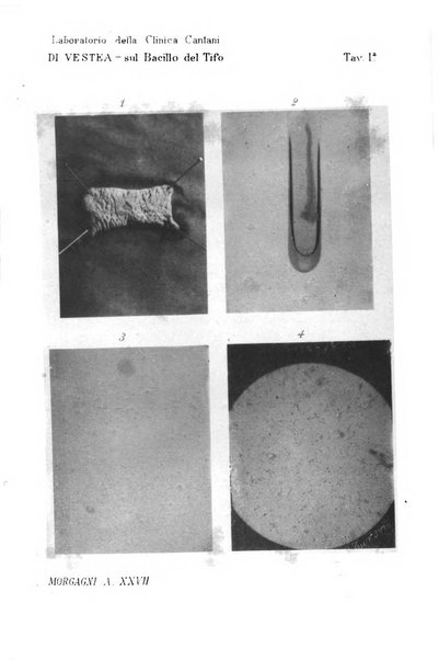 Il morgagni giornale indirizzato al progresso della medicina. Parte 1., Archivio o Memorie originali