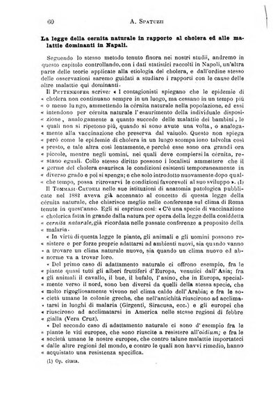 Il morgagni giornale indirizzato al progresso della medicina. Parte 1., Archivio o Memorie originali