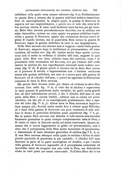 Il morgagni giornale indirizzato al progresso della medicina. Parte 1., Archivio o Memorie originali