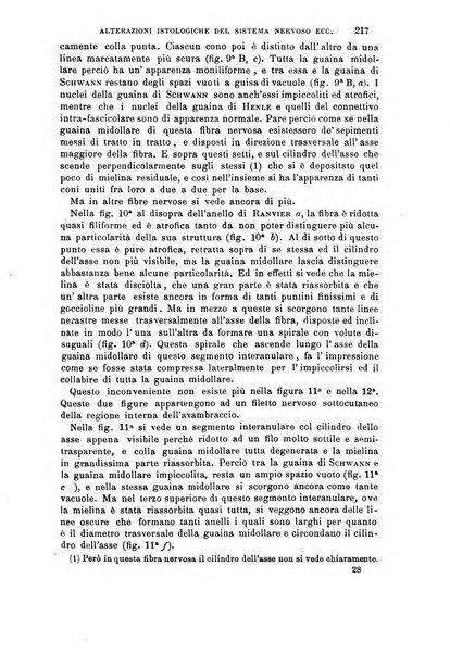 Il morgagni giornale indirizzato al progresso della medicina. Parte 1., Archivio o Memorie originali