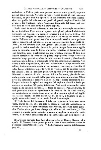 Il morgagni giornale indirizzato al progresso della medicina. Parte 1., Archivio o Memorie originali