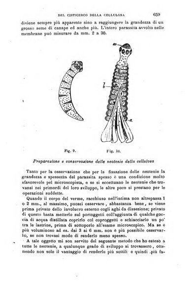 Il morgagni giornale indirizzato al progresso della medicina. Parte 1., Archivio o Memorie originali