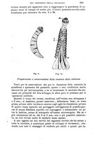 giornale/NAP0034716/1886/unico/00000713