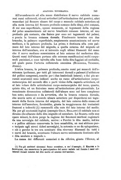 Il morgagni giornale indirizzato al progresso della medicina. Parte 1., Archivio o Memorie originali