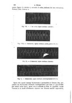 giornale/NAP0034716/1887/unico/00000486