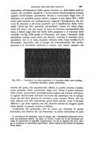 giornale/NAP0034716/1887/unico/00000489