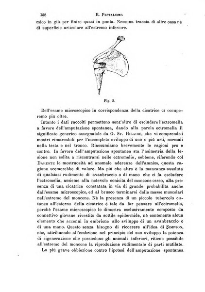 Il morgagni giornale indirizzato al progresso della medicina. Parte 1., Archivio o Memorie originali