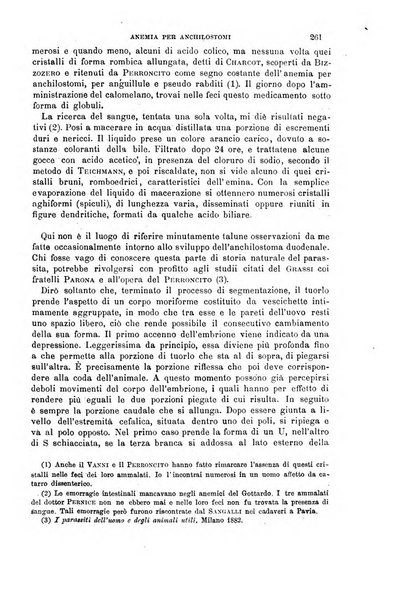 Il morgagni giornale indirizzato al progresso della medicina. Parte 1., Archivio o Memorie originali