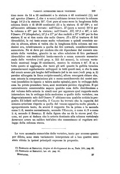 Il morgagni giornale indirizzato al progresso della medicina. Parte 1., Archivio o Memorie originali