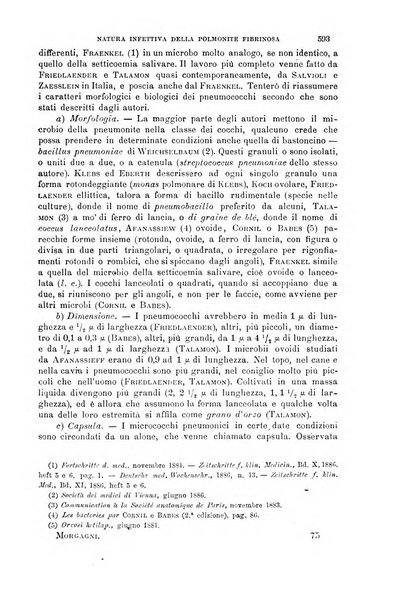 Il morgagni giornale indirizzato al progresso della medicina. Parte 1., Archivio o Memorie originali