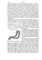 giornale/NAP0034716/1888/unico/00000672