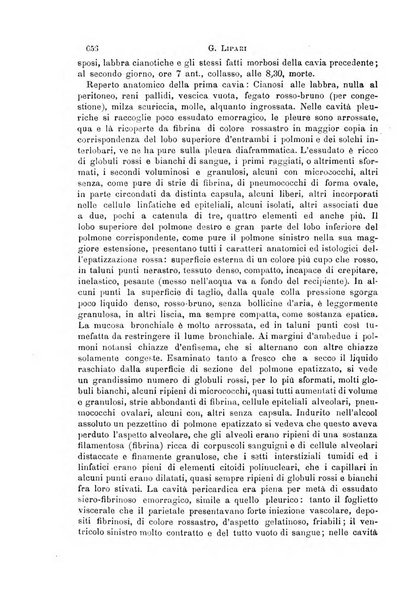 Il morgagni giornale indirizzato al progresso della medicina. Parte 1., Archivio o Memorie originali