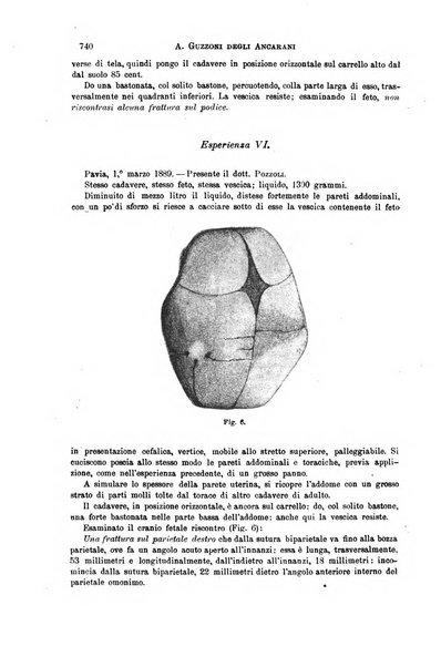 Il morgagni giornale indirizzato al progresso della medicina. Parte 1., Archivio o Memorie originali