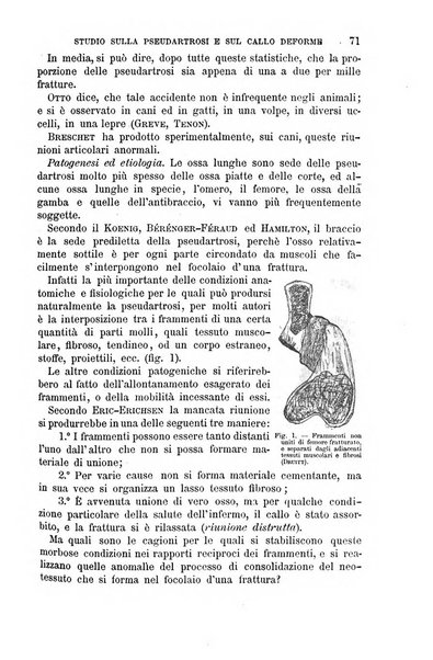 Il morgagni giornale indirizzato al progresso della medicina. Parte 1., Archivio o Memorie originali