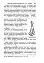 giornale/NAP0034716/1891/unico/00000195