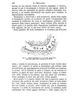 giornale/NAP0034716/1891/unico/00000570