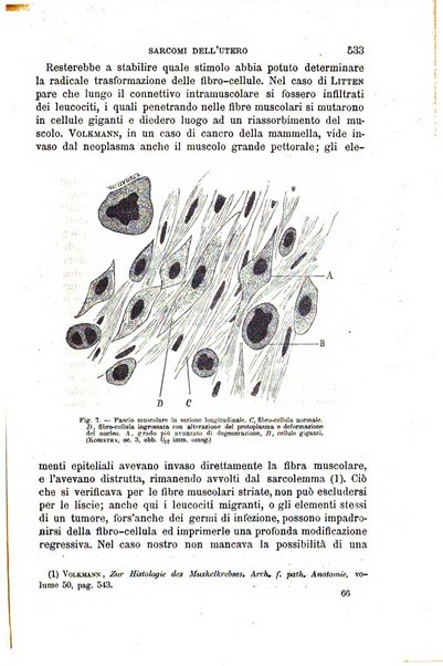 Il morgagni giornale indirizzato al progresso della medicina. Parte 1., Archivio o Memorie originali