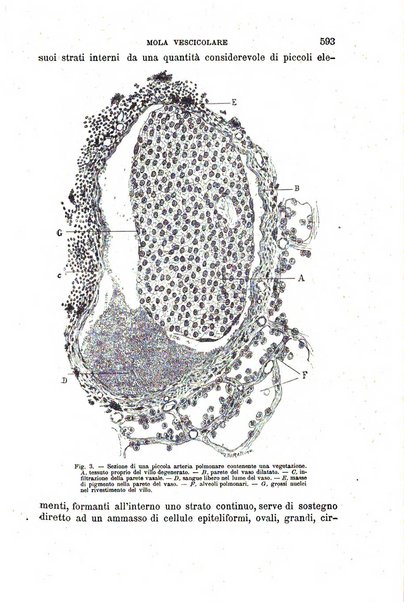 Il morgagni giornale indirizzato al progresso della medicina. Parte 1., Archivio o Memorie originali