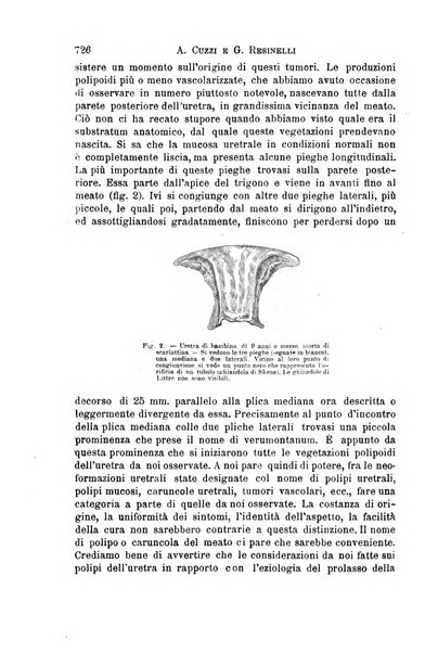 Il morgagni giornale indirizzato al progresso della medicina. Parte 1., Archivio o Memorie originali