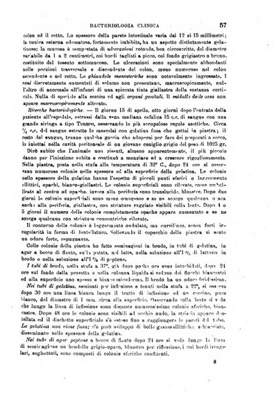 Il morgagni giornale indirizzato al progresso della medicina. Parte 1., Archivio o Memorie originali