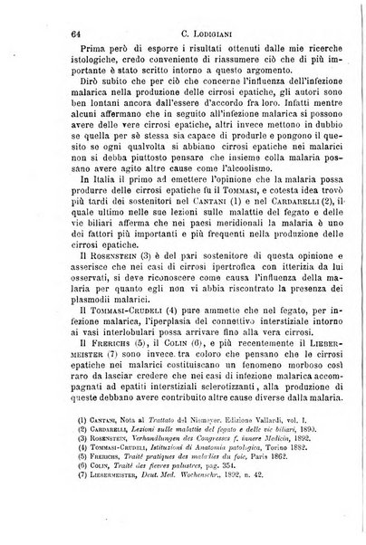 Il morgagni giornale indirizzato al progresso della medicina. Parte 1., Archivio o Memorie originali