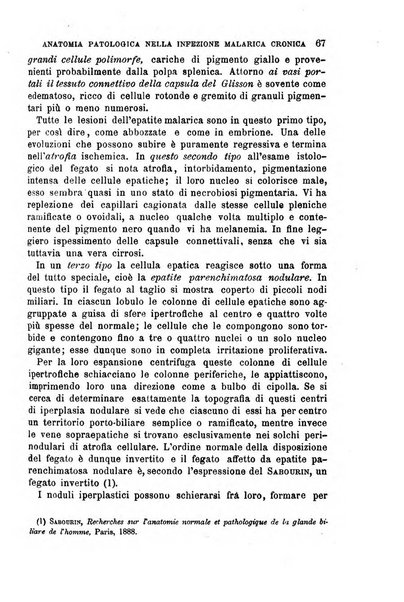 Il morgagni giornale indirizzato al progresso della medicina. Parte 1., Archivio o Memorie originali