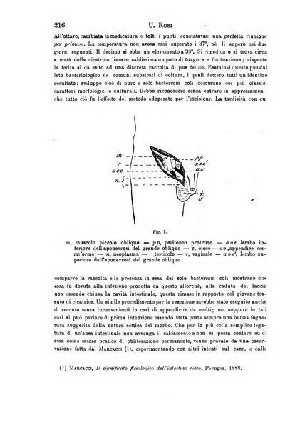 Il morgagni giornale indirizzato al progresso della medicina. Parte 1., Archivio o Memorie originali