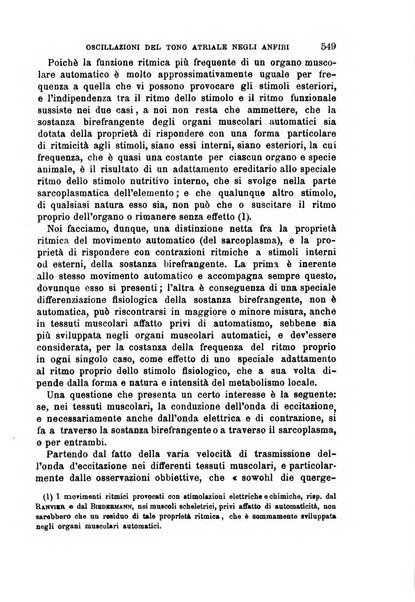 Il morgagni giornale indirizzato al progresso della medicina. Parte 1., Archivio o Memorie originali