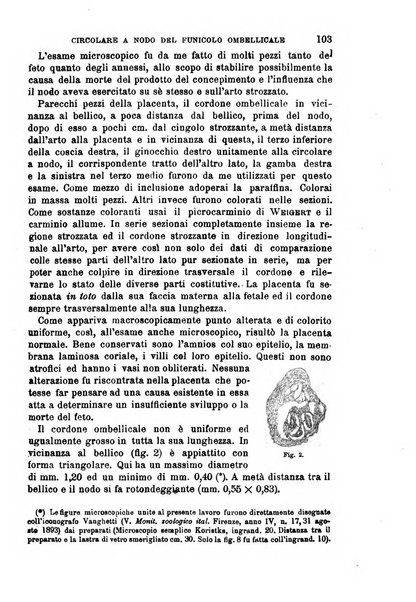 Il morgagni giornale indirizzato al progresso della medicina. Parte 1., Archivio o Memorie originali