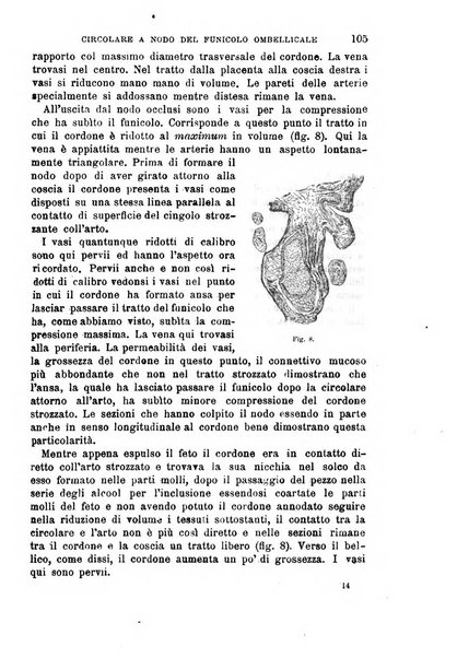 Il morgagni giornale indirizzato al progresso della medicina. Parte 1., Archivio o Memorie originali