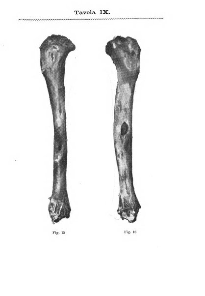 Il morgagni giornale indirizzato al progresso della medicina. Parte 1., Archivio o Memorie originali