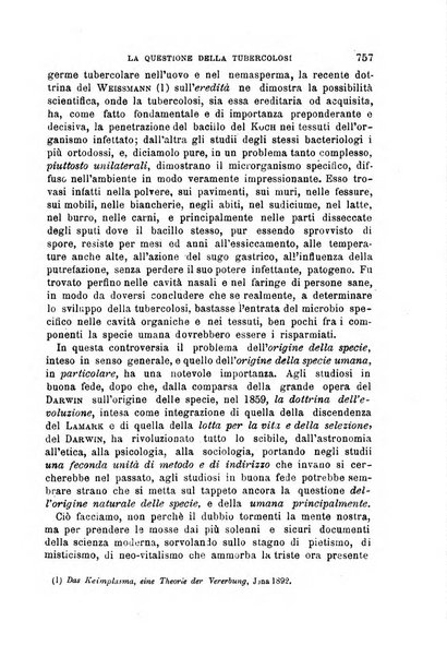 Il morgagni giornale indirizzato al progresso della medicina. Parte 1., Archivio o Memorie originali