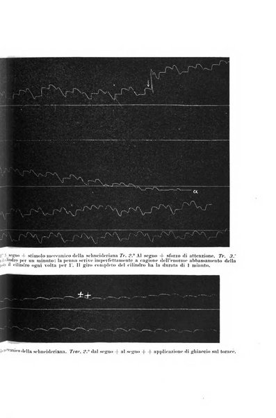 Il morgagni giornale indirizzato al progresso della medicina. Parte 1., Archivio o Memorie originali