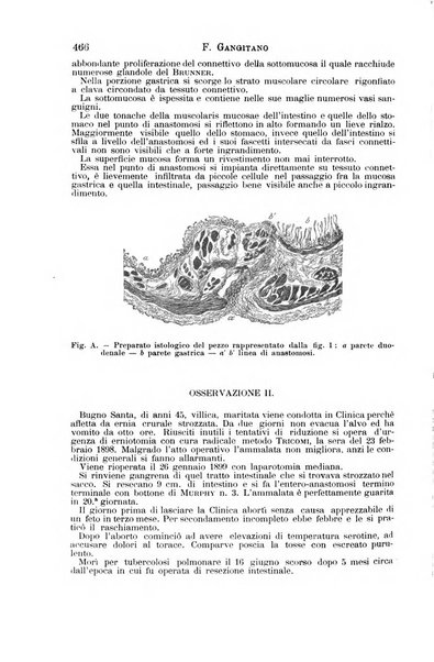 Il morgagni giornale indirizzato al progresso della medicina. Parte 1., Archivio o Memorie originali